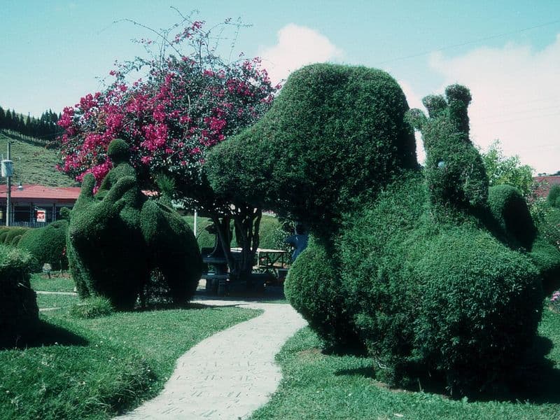 zarcero costa rica - The Topiary Garden of Parque Francisco Alvardo